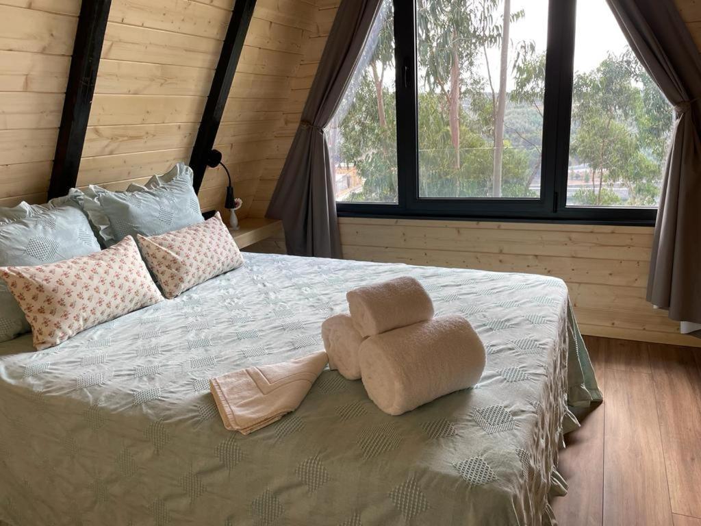 Medronho D'Ouro Bungalows Foz do Sousa Luaran gambar